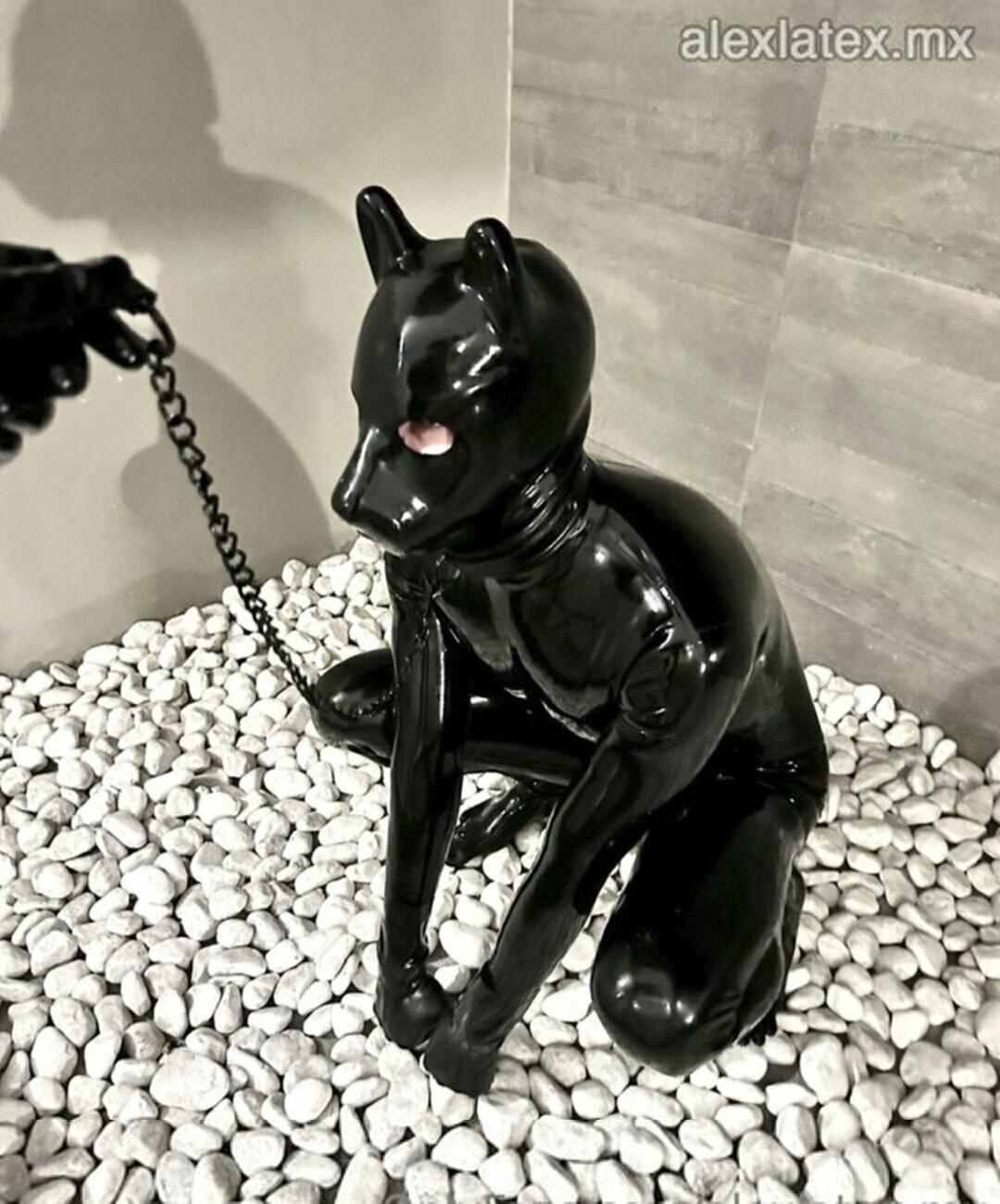 alexlatex-mx-2